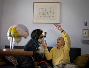 攻击网站服务器